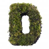 FLORALMOSS DOĞAL YOSUN KAPLI AHŞAP D  HARFi - 1