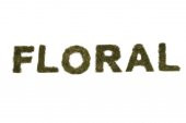 FLORALMOSS DOĞAL YOSUN KAPLI AHŞAP D  HARFi - 3