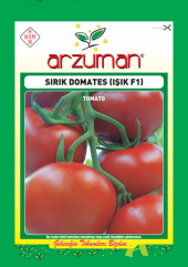 Işık F1 (Sırık) Domates Tohumu - 100 adet - 1