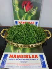Yoğurt Yapışkan Otu 75 Gr - 1