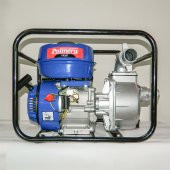 Palmera PA20T Benzinli 2 Su Motoru - 6.5 Hp - 1