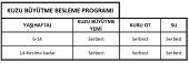 KUZU YEMİ PELET (KUZU BÜYÜTME) - MİKTAR SEÇİNİZ - 3