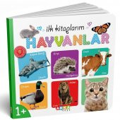 Diy-Toy İlk Kitaplarım Serisi Eğitici 6Lı Set - 2