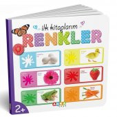 Diy-Toy İlk Kitaplarım Serisi Eğitici 6Lı Set - 3