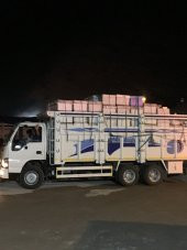Doğal Süzme Çiçek Balı 27 Kg Teneke - 7
