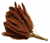 Doğal Kızıl Dal Darı Kuş Yemi 2 Kg. - 3