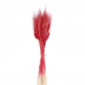 Kuru Çiçek Doğal Başak Buğday Başağı  45 Cm - 1 Demet  Kırmızı - 1