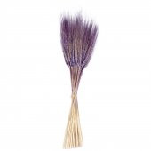 Kuru Çiçek Doğal Başak Buğday Başağı  45 Cm - 1 Demet  Lila - 1