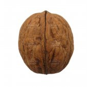 İthal Kabuklu Ceviz 250 G - 2