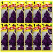 Little Trees Midnight Chic Asma Oto Kokusu 12 Adet - 1