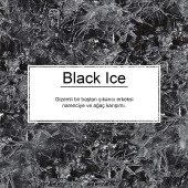 Little Trees Black Ice Asma Oto Kokusu 12 Adet - 4