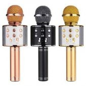 Orijinal WSTER WS-858 Karaoke mikrofon Ses DeÄŸiÅŸtirme Ã–zellikli - 3