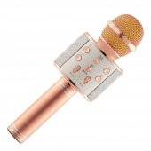 Orijinal WSTER WS-858 Karaoke mikrofon Ses DeÄŸiÅŸtirme Ã–zellikli - 4