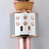 Orijinal WSTER WS-858 Karaoke mikrofon Ses Değiştirme Özellikli - 6