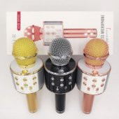 Orijinal WSTER WS-858 Karaoke mikrofon Ses DeÄŸiÅŸtirme Ã–zellikli - 11