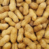 Kabuklu Tuzlu Yer Fıstığı 500 G - 8