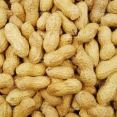 Kabuklu Çiğ Yer Fıstığı 1 KG - 8