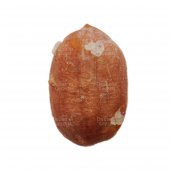 Tuzlu Yer Fıstığı 1 KG - 2