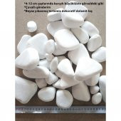 Dolomit Taşı 25 kg 4-12 cm Dolamit Taş Çakıl Taşı Dere Taşı Bahçe - 1