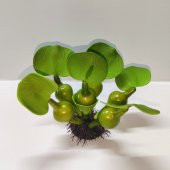 TLS Su Üstü Nülifer Yapay Akvaryum Bitkisi - Çiçeksiz - 1