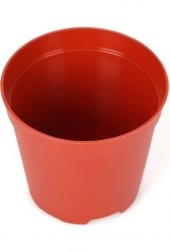 UZAYBAHÇESİ KAKTÜS SAKSISI 8,5 CM KALİTELİ MALZEME 50 ADET - 2