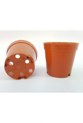 UZAYBAHÇESİ KAKTÜS SAKSISI 8,5 CM KALİTELİ MALZEME 50 ADET - 4