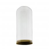20x9cm Cam Tüp Fanus Terrarium Şişe - 1