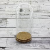20x9cm Cam Tüp Fanus Terrarium Şişe - 2