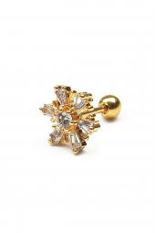 316L Çelik Cerrahi Burun-Kulak Kıkırdak Dudak Tragus Piercing FH10840 - 1