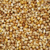 Kavurga Mısır 250 G - 8
