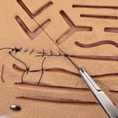 Tıp - Veteriner Hekimliği Dikiş, Ligatür Eğitim Pedi - PraticMed - 4