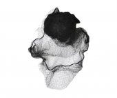 Dvl Ince Saç Filesi 5 li Paket Siyah - 1