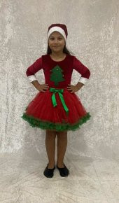 ÇAM AĞAÇLI NOEL ANNE KOSTÜMÜ - 1