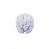 Şekerli Leblebi 250 G - 2