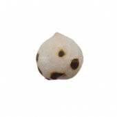 Tava Leblebi 1 KG - 2