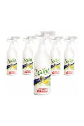 Glint Bitkisel Temizleyici Çözücü Leke Çıkarıcı 5 Adet 1 Litre - 1