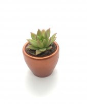 Bakır Rengi  Klasik Beton Saksıda Graptosedum California Sunset Bitkisi - 1