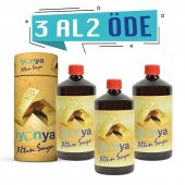 Altın Suyu 1LT Kampanya 3AL 2ÖDE - 1