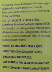 Ispanak Sebze Tohumu 50 gr - 2