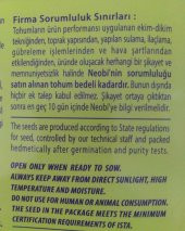 Ispanak Sebze Tohumu 50 gr - 3