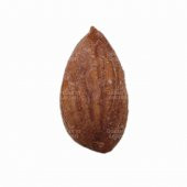 Kayısı Çekirdeği  1 KG thumbnail 2