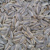 Ay Çekirdeği Yerli Tuzlu XL 500 G - 8
