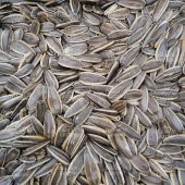 Ay Çekirdeği Yerli XL 500 G thumbnail 8