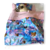 Cats Kedi Minderi Uyku Takımı Minder Yastık Örtü Set - 2