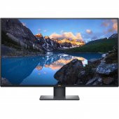 DELL 43" IPS U4320Q 5MS 60Hz HDMI-DP-TYPE-C (3840 X 2160) Kurumsal Monitör thumbnail 1