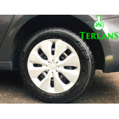 TERLANS Lastik Parlatıcı JEL & Motor Jant Temizleyici 2 x 500ml - 2