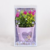 RENKLİ KÜÇÜK KOVALI SAKSI ÇİCEK thumbnail 2