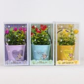 RENKLİ KÜÇÜK KOVALI SAKSI ÇİCEK thumbnail 4