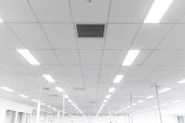 Philips Master PL-L 55W / 865 / 4P  Beyaz Enerji Tasarruflu Floresan Lamba 54,116 Cm - 5