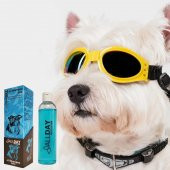 Allday All-Shampoo Dog Hypoallrgenic Köpek Şampuan 250 Ml - 3
